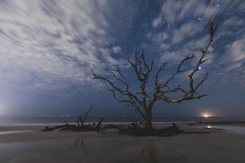 Days Inn & Suites by Wyndham Jekyll Island - image 25