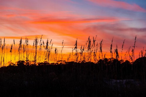 Days Inn & Suites by Wyndham Jekyll Island - image 27