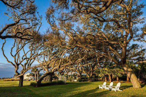 Beachview Club Hotel - image 11