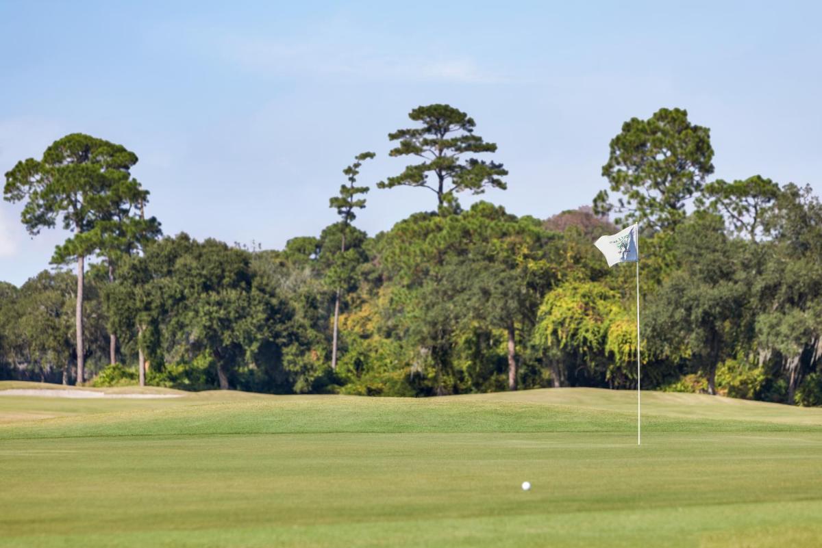 Holiday Inn Resort Jekyll Island an IHG Hotel - image 4