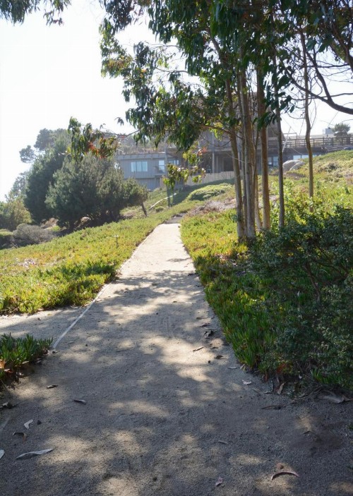Timber Cove Resort - image 11