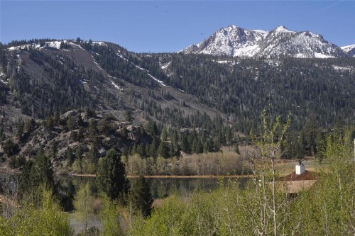 Interlaken #8 - 2BR/2BA - Lake View - image 3