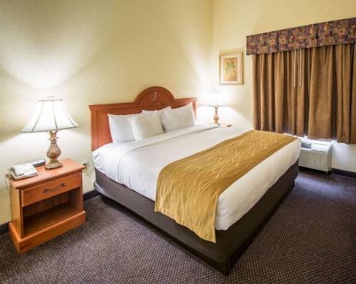 Comfort Inn & Suites Jupiter I-95 - image 24