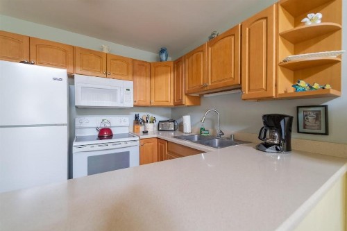 Hale Lilly Condo - image 20