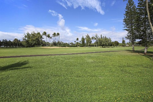 Sugar Cane Condo - image 3