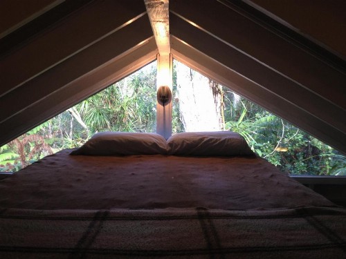 Carson's Kaloko Mountain Cabin - image 10