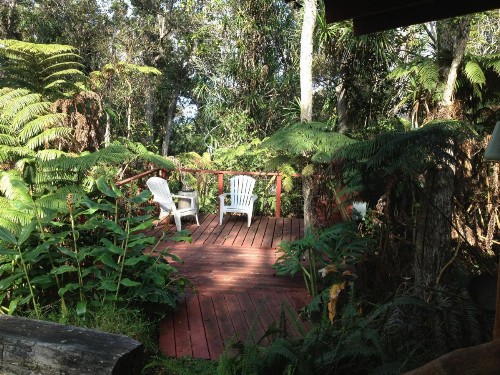 Carson's Kaloko Mountain Cabin - image 6