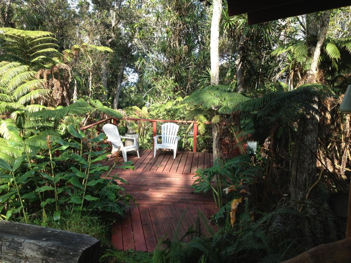 Carson's Kaloko Mountain Cabin - image 6