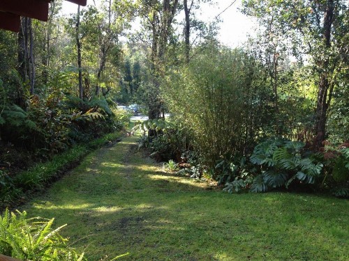 Carson's Kaloko Mountain Cabin - image 8