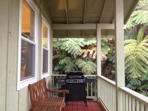 Carson's Kaloko Mountain Cottage - image 7