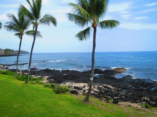 Kona Reef Resort by Latour Group - image 15