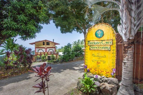 Banyan Tree Sanctuary Guest House - image 7