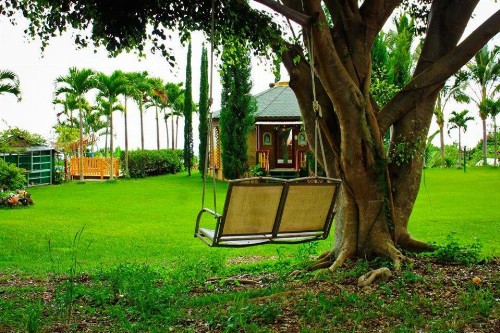 Banyan Tree Sanctuary Guest House - image 8