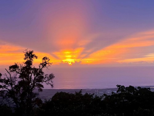 Mango Sunset BnB Inn at Lyman Organic Kona Coffee Farms
