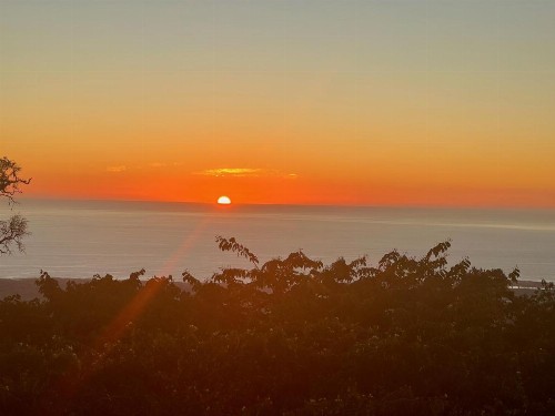 Mango Sunset BnB Inn at Lyman Organic Kona Coffee Farms - image 11