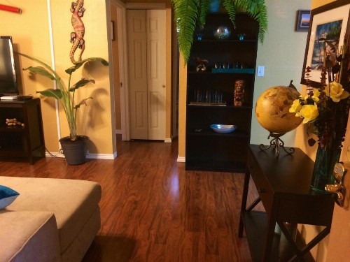 Palani Condo - image 15