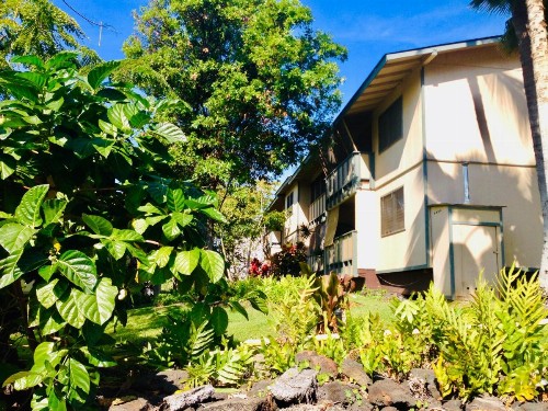 Palani Condo - image 28