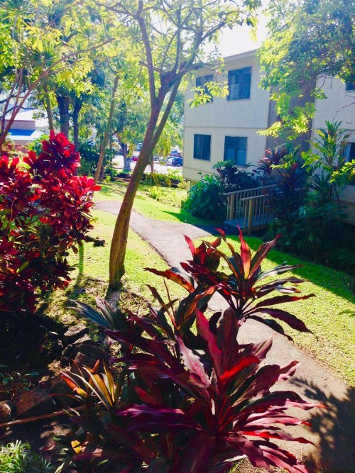 Palani Condo - image 29