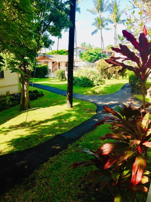 Palani Condo - image 30