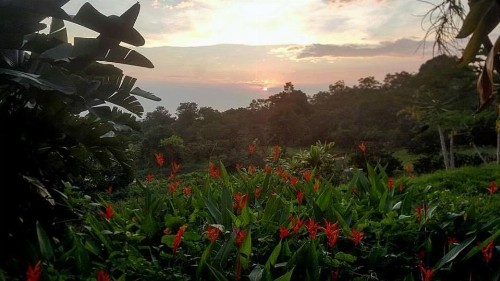 Hale Hualalai - image 18