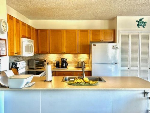 Alii Apartment 340 - image 9