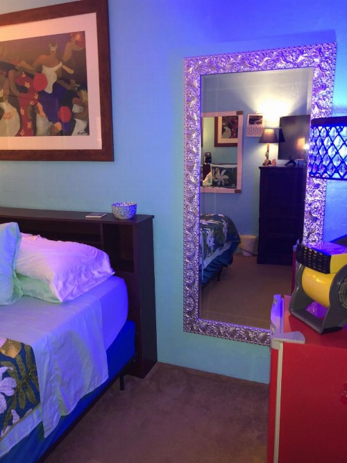 Kona Magic Honu Room - image 13