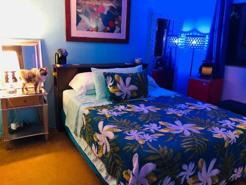 Kona Magic Honu Room - image 17