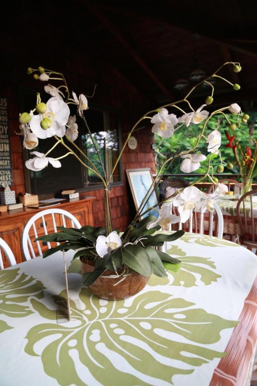 Hale Maluhia Country Inn - image 36