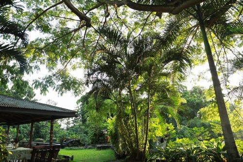 Hale Maluhia Country Inn - image 37