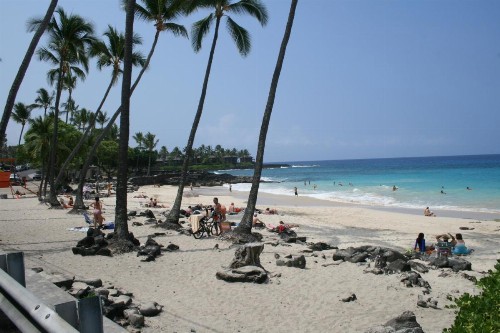 Kona Bali Kai 317 Direct Oceanfront - image 19