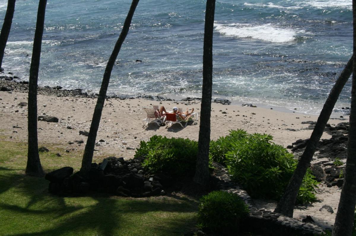 Kona Bali Kai 317 Direct Oceanfront - image 5