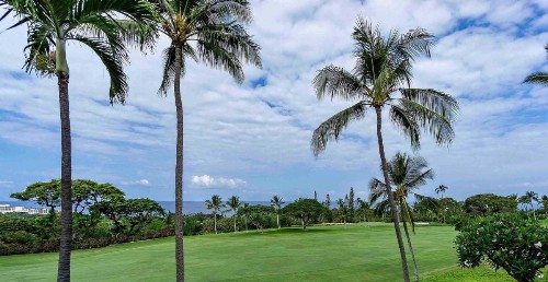 Country Club Villas #208 - image 11