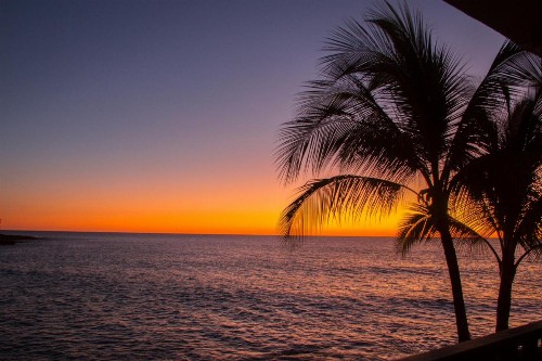 Kona Tiki Hotel - image 9