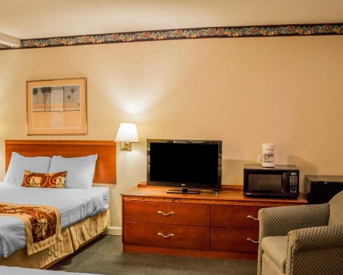 Rodeway Inn Kalkaska - image 21