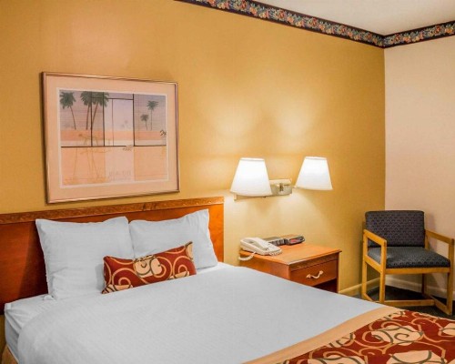 Rodeway Inn Kalkaska - image 22