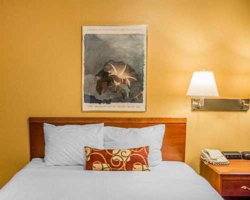 Rodeway Inn Kalkaska - image 26