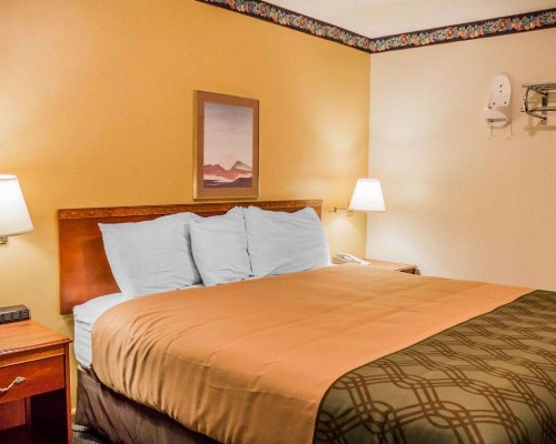 Rodeway Inn Kalkaska - image 32