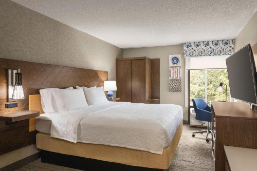Hampton Inn Kansas City - Airport - image 18
