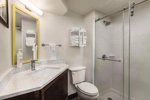 Hampton Inn Kansas City - Airport - image 27