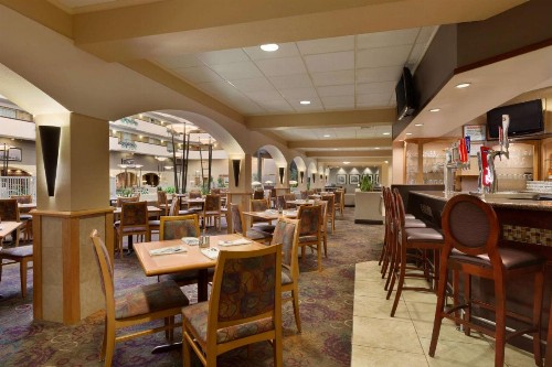 Embassy Suites Kansas City International Airport - image 16