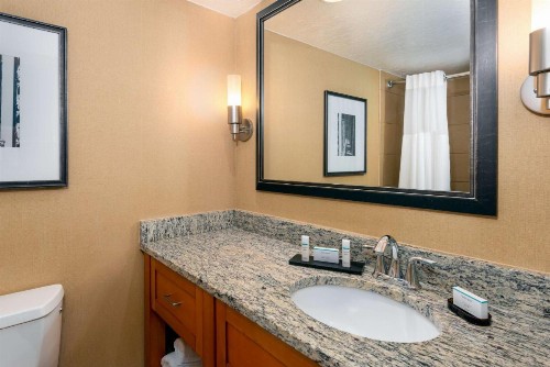 Embassy Suites Kansas City International Airport - image 20
