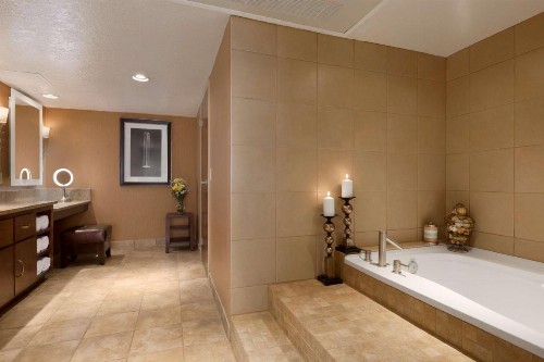 Embassy Suites Kansas City International Airport - image 40