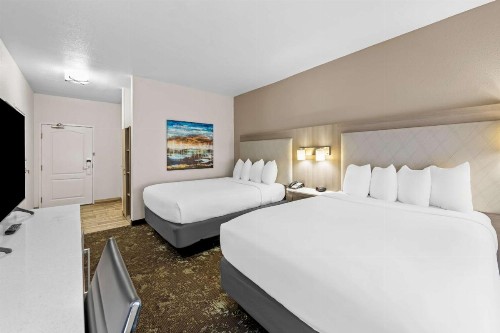 Best Western Worlds of Fun Inn & Suites - image 17