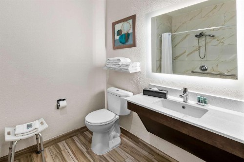 Best Western Worlds of Fun Inn & Suites - image 23