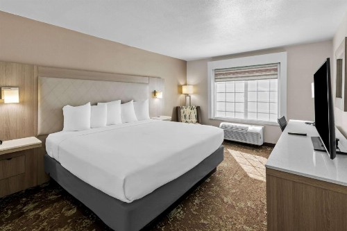 Best Western Worlds of Fun Inn & Suites - image 25