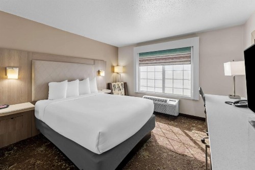 Best Western Worlds of Fun Inn & Suites - image 30