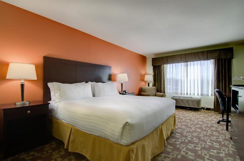 Holiday Inn Express Hotel & Suites Kansas City Sports Complex an IHG Hotel - image 22