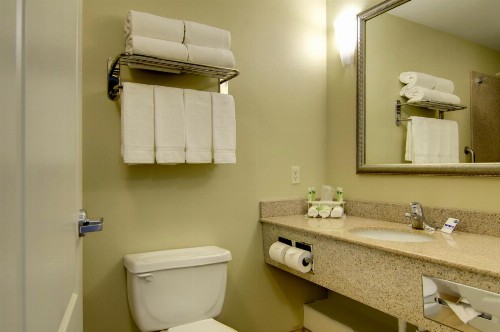 Holiday Inn Express Hotel & Suites Kansas City Sports Complex an IHG Hotel - image 32