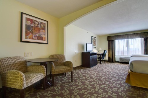 Holiday Inn Express Hotel & Suites Kansas City Sports Complex an IHG Hotel - image 49
