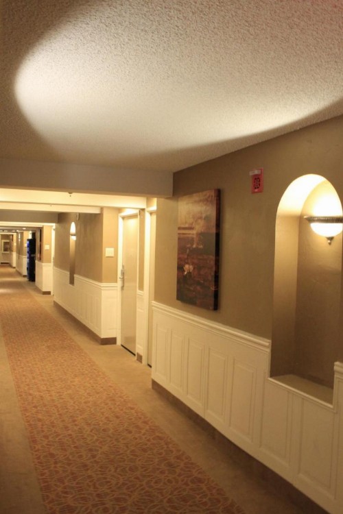 Best Western Plus Seville Plaza Hotel - image 38